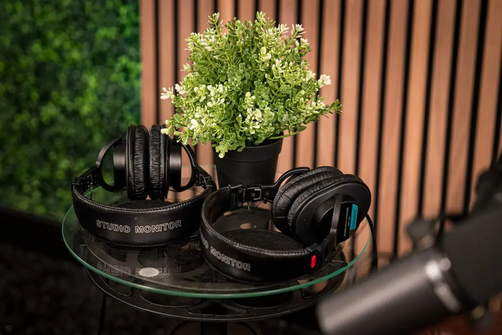 Studio headphones and a microphone on the couch set